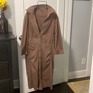 Sexy button down brown dress! Good conditions.
